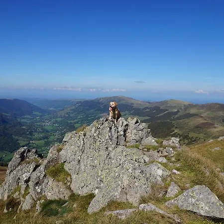 Logis Coquelicot Riom-es-Montagnes